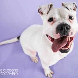 Meet your Posher, Courtney